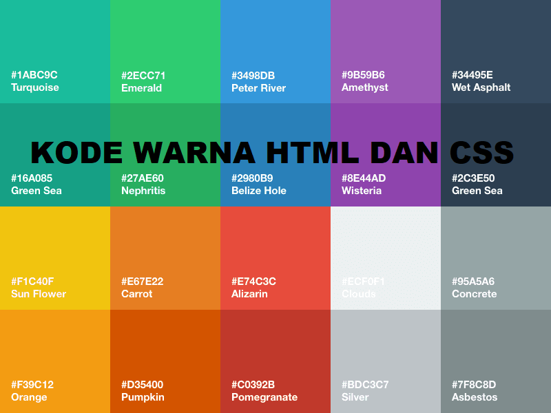 Kode Warna HTML dan CSS: Panduan Lengkap agar Desain Web Menarik